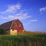 Old McDonald Had a Farm — and Some Outdated Life Policies