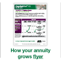 How your annuity grows flyer